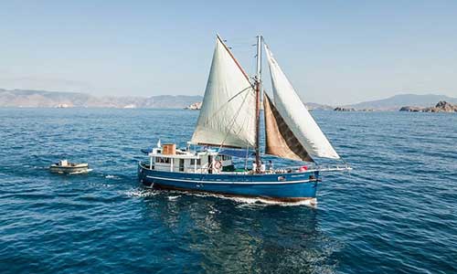 10 Best Komodo Tour Packages Boat