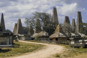 13 Days Explore Sumba Flores Komodo