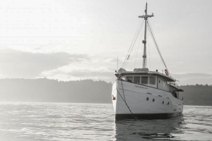 Splendour Private Boat Charters