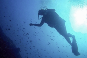 2 Night 3 Days Diving and Dragons Adventure