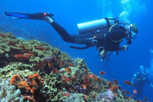 Fun Dives in Gili Trawangan