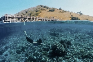 3 Days Labuan Bajo Komodo Tour Package