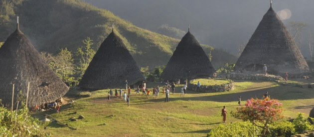 Komodo Tours From Labuan Bajo