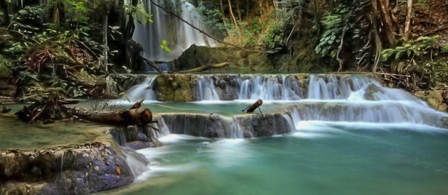 Komodo National Park Tours From Bali