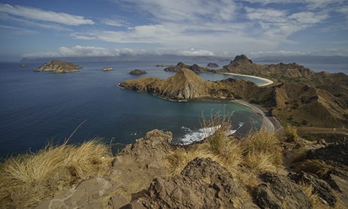 Komodo island day tours from bali