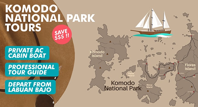 Komodo Island Tours Flores Tour Package Komodo Wisata Komodo Island Tours Flores Tour Package Komodo Wisata