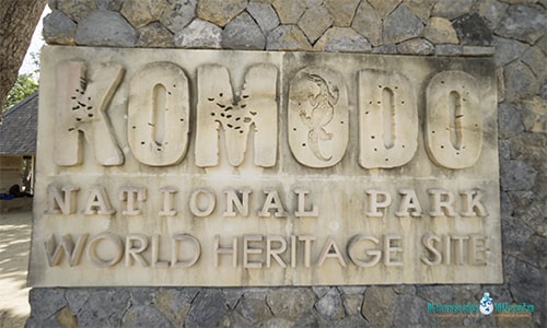 Komodo Island, Home of Komodo Dragons