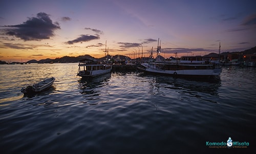 Komodo Island Cruise Ship Tours