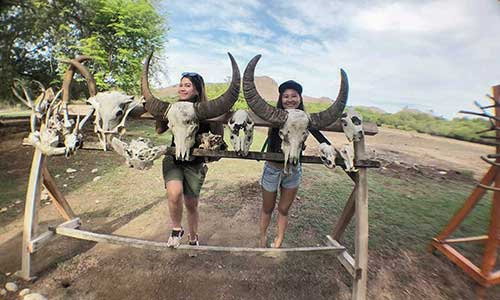 Rinca Island Komodo