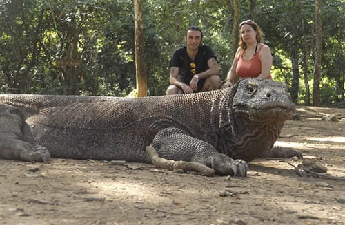 Things to do on Komodo island tours