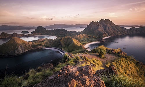 Tour to Komodo Island from Bali » Komodo Wisata