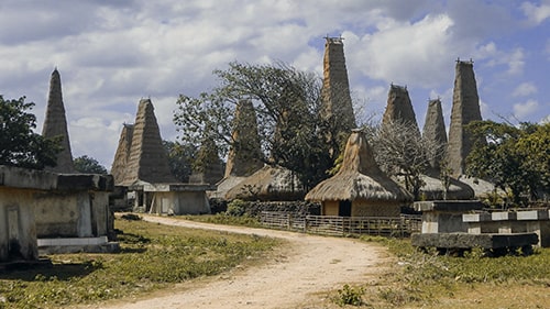 13 Days Explore Sumba Flores Komodo