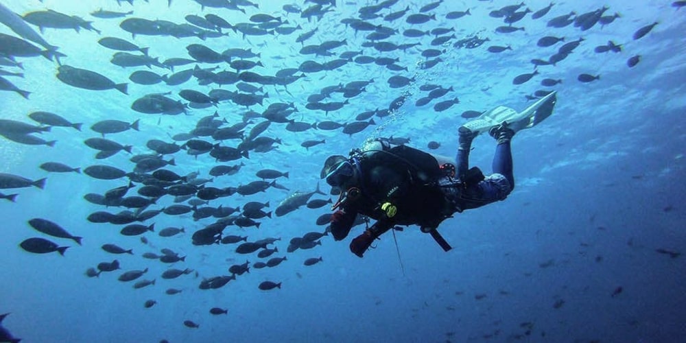 Diving