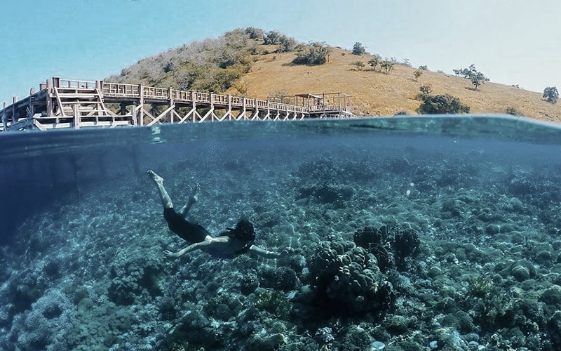 3 Days Labuan Bajo Komodo Tour Package