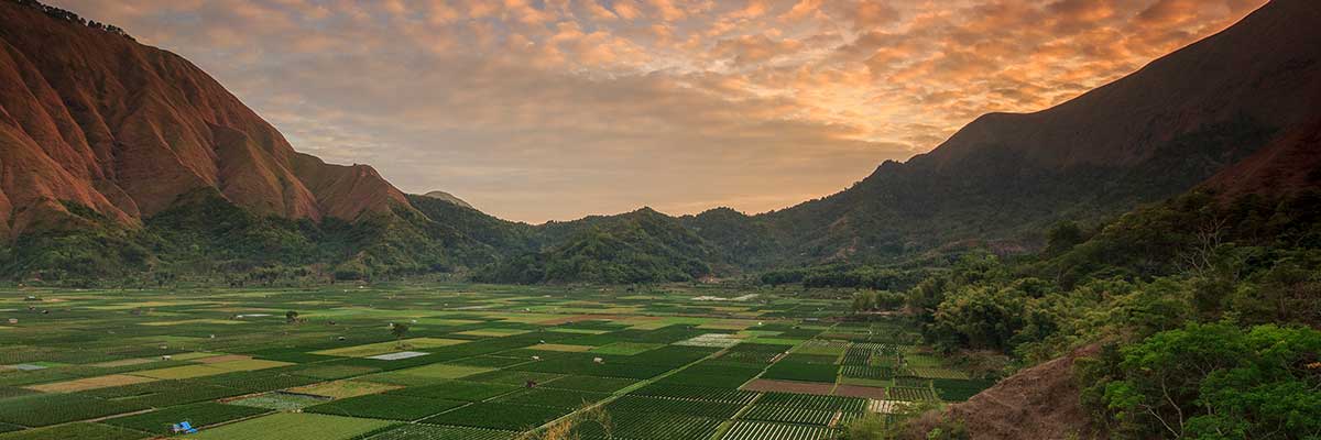 Lombok Island