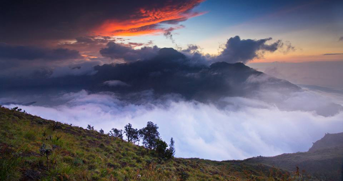 Trekking